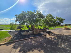 View of home's community with a yard