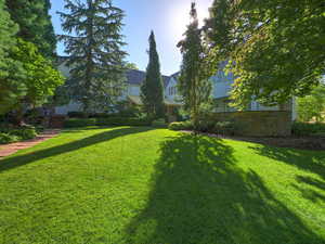 View of green lawn