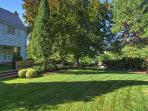 View of green lawn featuring view of wooded area