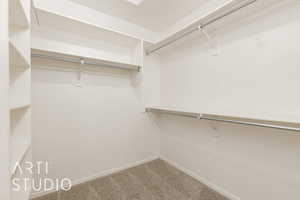 Spacious closet with carpet