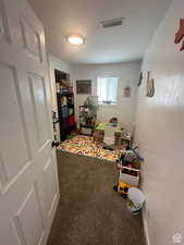 Rec room featuring carpet flooring