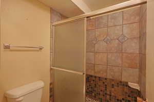 Bathroom with a shower stall and toilet