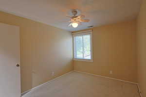 Empty room featuring carpet floors, a textured ceiling, and ceiling fan
