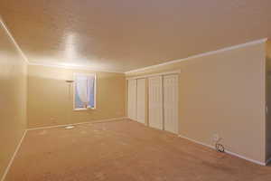 Unfurnished bedroom featuring crown molding, a textured ceiling, carpet floors, and a closet