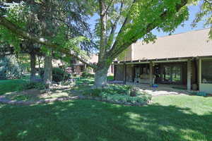 View of grassy yard with a patio area