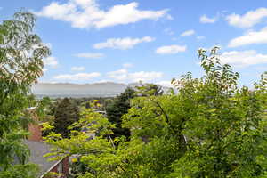 View of mountain background