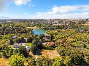 Bird's eye view of a forest and a water and mountain view