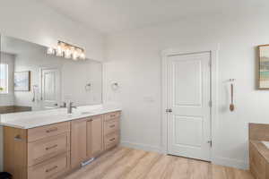 Full bathroom featuring vanity, light wood-style flooring, and tiled bath