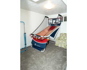 Game room featuring a textured ceiling and carpet