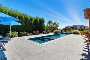 View of swimming pool featuring a patio area and a pool with connected hot tub
