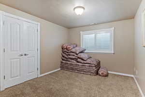 Sitting room with carpet floors and a textured ceiling