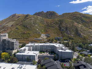 View of mountain background