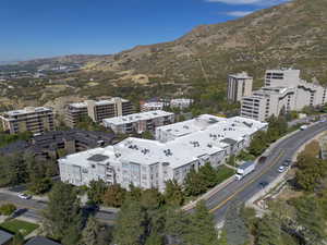 Bird's eye view of a mountainous background
