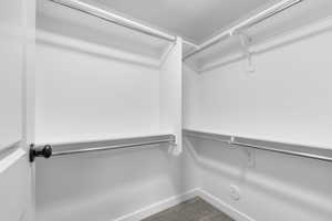 Walk in closet with carpet