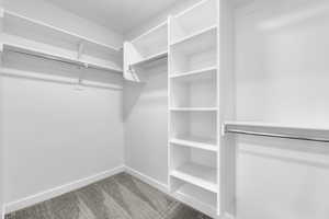 Walk in closet with carpet