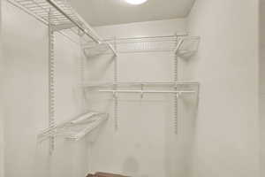 View of walk in closet