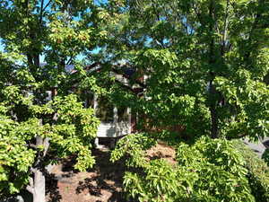 View of undeveloped land