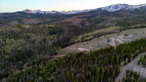 View of mountain backdrop featuring a forest