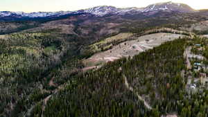 View of mountain backdrop featuring a forest