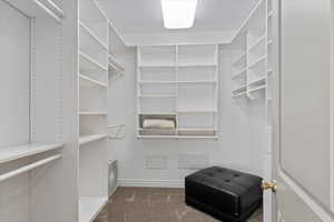 Spacious closet with dark colored carpet