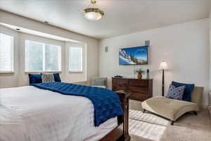 Bedroom with carpet floors