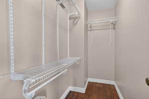 Spacious closet featuring dark wood-style flooring