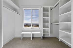 Spacious closet featuring light carpet