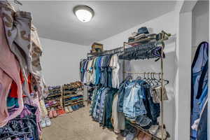 Spacious closet featuring carpet flooring