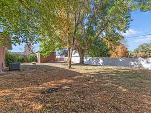 View of fenced backyard