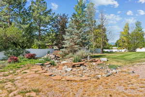 View of yard featuring a patio