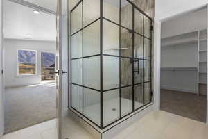 Bathroom with light colored carpet, walk in shower, a walk in closet, and recessed lighting