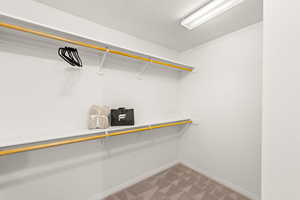 Spacious closet with light colored carpet