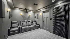 Home theater featuring carpet, recessed lighting, a tray ceiling, and electric panel