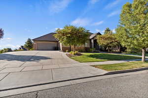 View of property hidden behind natural elements featuring a front lawn, concrete driveway, brick siding, and an attached garage