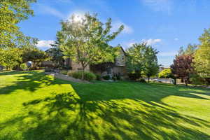View of grassy yard
