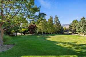 View of property's community with a yard and view of wooded area