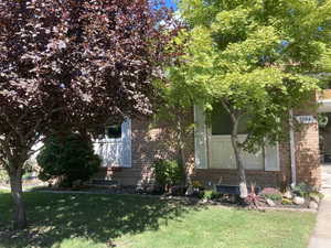 View of property hidden behind natural elements featuring a front lawn and brick siding