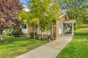 View of property hidden behind natural elements with a front yard and brick siding