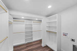 Spacious closet featuring dark wood finished floors