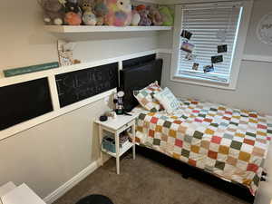 Bedroom with dark colored carpet