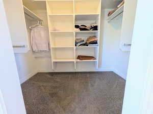 Spacious closet with dark carpet
