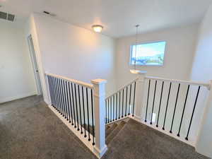 Stairs with carpet and baseboards