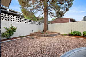 View of fenced backyard