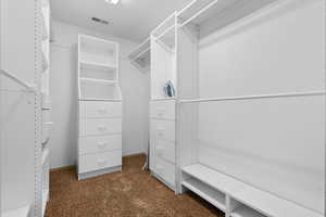 Spacious closet featuring dark colored carpet