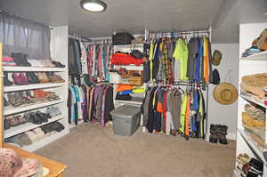 Spacious closet with carpet floors