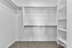 Spacious closet featuring carpet floors
