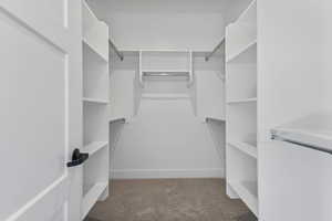 Spacious closet featuring carpet flooring