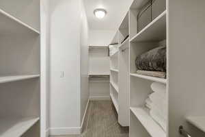 Spacious closet with light carpet
