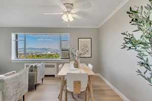 Dining room featuring a mountain view, wood finished floors, radiator heating unit, ornamental molding, and a ceiling fan