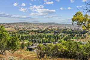 Mountain view with a tree filled landscape